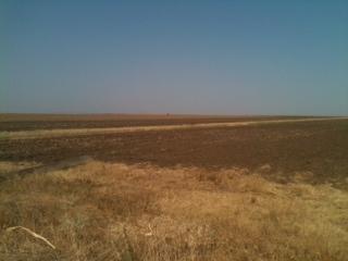  Romania  -  arable land for sale.......Ref R03